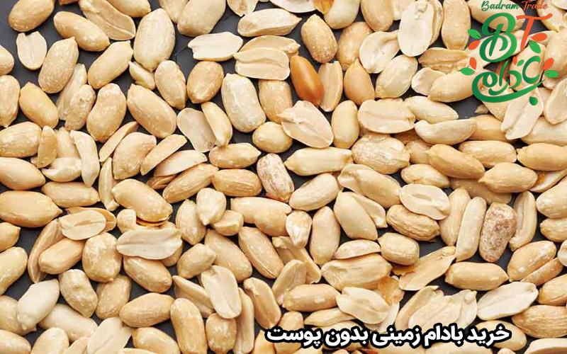 خرید بادام زمینی بدون پوست
